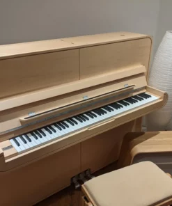 Sauter Rondo