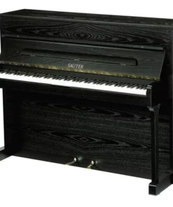 Sauter School Studio 122 (Ash Black Satin)