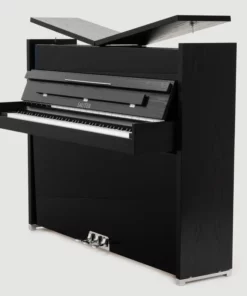 Sauter School Studio 122 (Ash Black Satin)