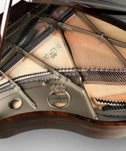 Schimmel Classic C169 Ziricote