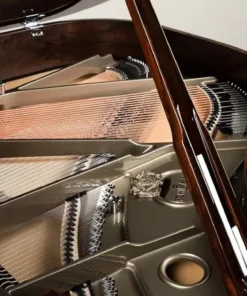 Schimmel Classic C169 Ziricote