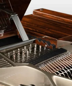Schimmel Classic C169 Ziricote