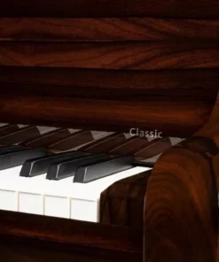 Schimmel Classic C169 Ziricote