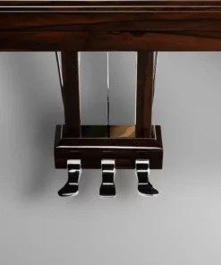Schimmel Classic C169 Ziricote