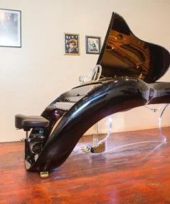 Schimmel K208 Pegasus