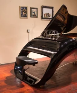 Schimmel K208 Pegasus