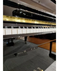 Schimmel TwinTone