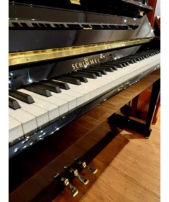 Schimmel TwinTone