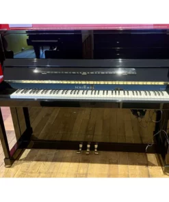 Schimmel TwinTone