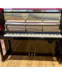 Schimmel TwinTone