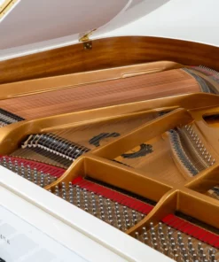 Schreiner & Söhne G52