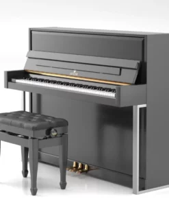SE-116 ACCENT