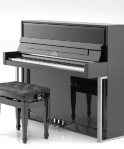 SE-116 ACCENT