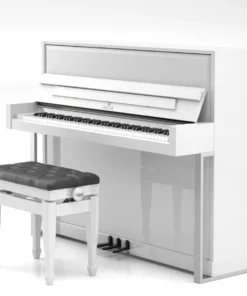 SE-116 ACCENT