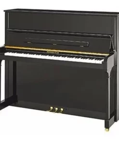 SE-116 ACCENT