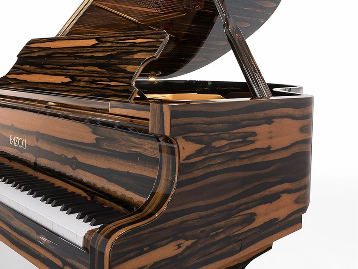 Fazioli Ebony Black & White