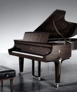 Steinway & Sons Black Dimond model D