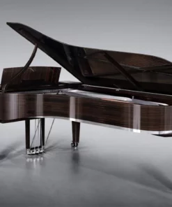 Steinway & Sons Black Dimond model D