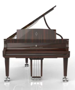 Steinway & Sons Black Dimond model D