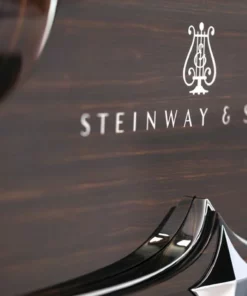 Steinway & Sons Black Dimond model D