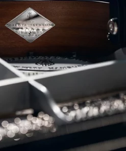 Steinway & Sons Black Dimond model D