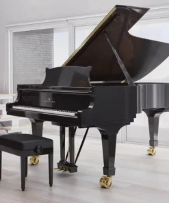 STEINWAY C-227