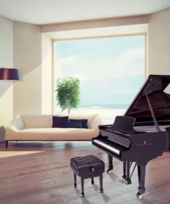STEINWAY C-227