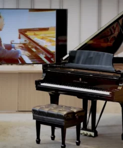 STEINWAY MODEL B-211 Spirio | r