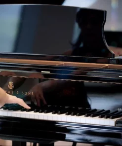 STEINWAY MODEL B-211 Spirio | r
