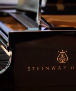 STEINWAY MODEL B-211 Spirio | r
