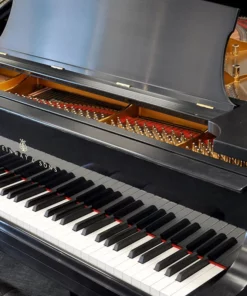 STEINWAY MODEL M (USED)