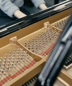 STEINWAY S-155