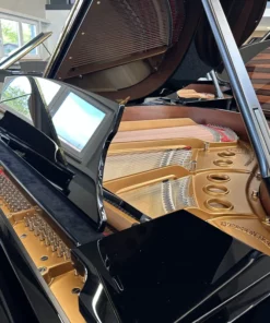 STEINWAY S-155