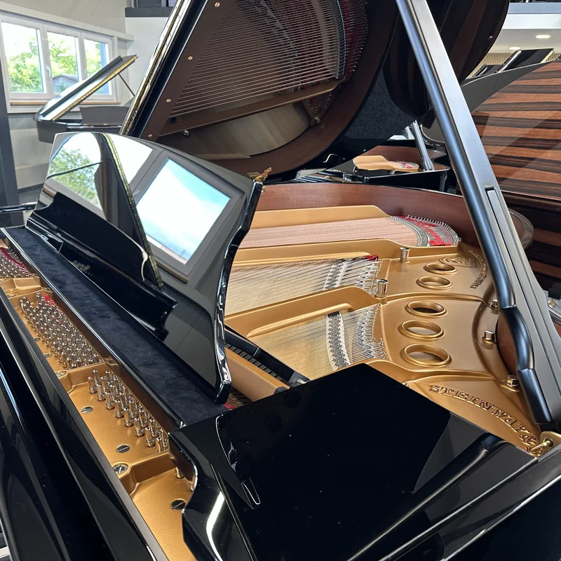 Review STEINWAY S-155 – Hình ảnh thực tế tại showroom Elite Piano