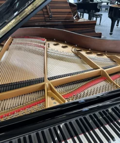 STEINWAY S-155