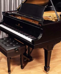 STEINWAY A3