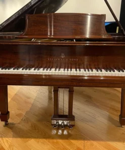 STEINWAY A3