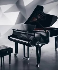 Steinway & Sons Black Dimond model B