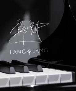 Steinway & Sons Black Dimond model B