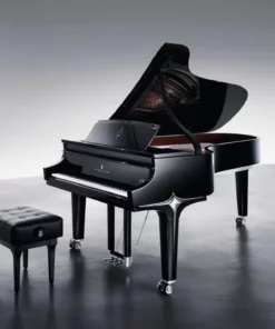 Steinway & Sons Black Dimond model B
