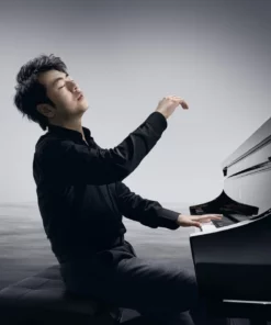 Steinway & Sons Black Dimond model B