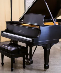 STEINWAY MODEL B