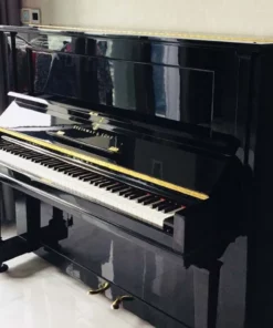 STEINWAY K-132