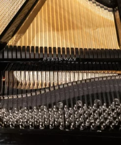 Steinway & Sons - The Jet Noir