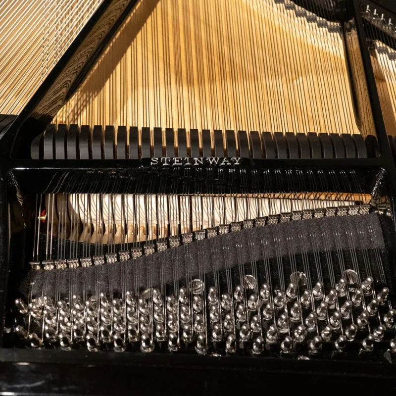 Steinway & Sons - The Jet Noir