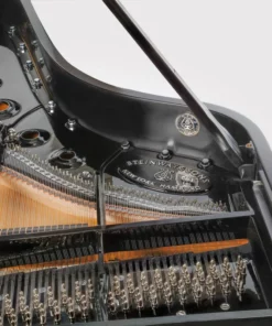 Steinway & Sons - The Jet Noir