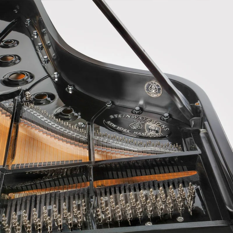Steinway & Sons - The Jet Noir