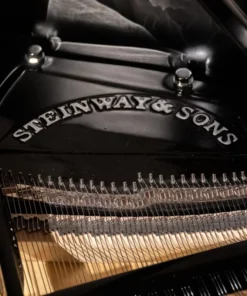 Steinway & Sons - The Jet Noir