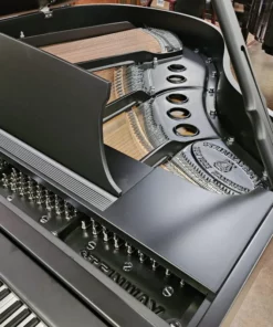 Steinway & Sons - The Jet Noir