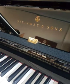 STEINWAY V-125
